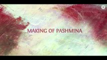 Pashmina - Making - Fitoor - Aditya Roy Kapur, Katrina Kaif - Amit Trivedi