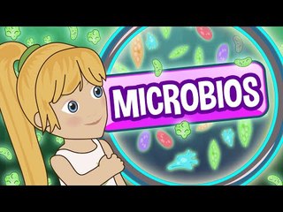 ¿Cómo se descubrieron los Microbios, Bacterias y Gérmenes? - Los Creadores