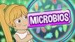 ¿Cómo se descubrieron los Microbios, Bacterias y Gérmenes? - Los Creadores