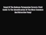 Fungi Of The Andean-Patagonian Forests: Field Guide To The Identification Of The Most Common