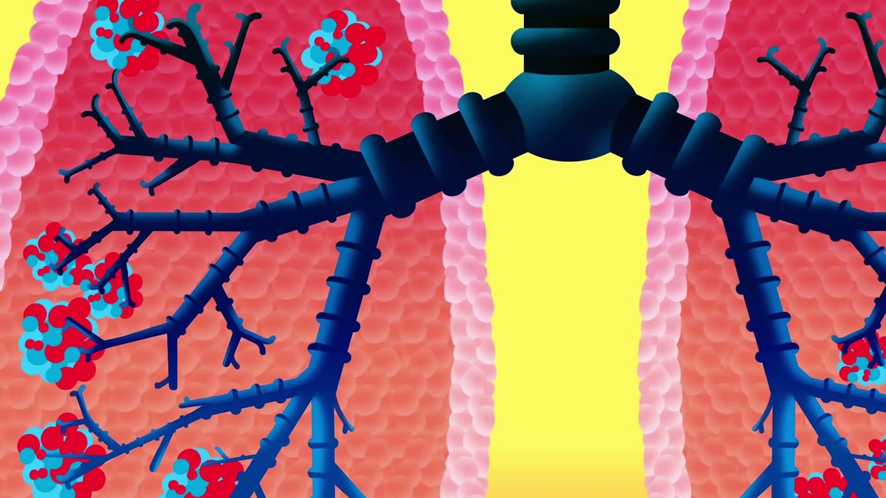 Body Songs- -When You Breathe (Lungs)- by StoryBots