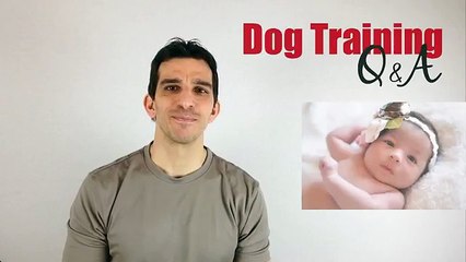 How to Introduce Your Dog to a Baby |Dog How2 Vids|