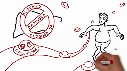 Dr. Charles D.C&#39;s Fat Loss Factor | Lori&#39;s & Some Others&#39; Success Stories - Reload