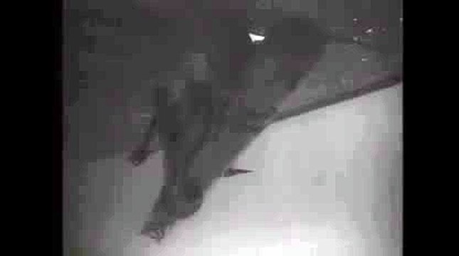 카지노하는곳↑~ KOP77,COM ~☏바카라추천사이트㏇사설토토사이트추천