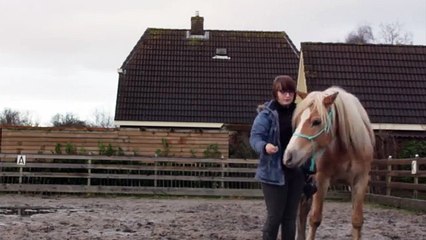 [UITLEG] Clickertraining || BIV