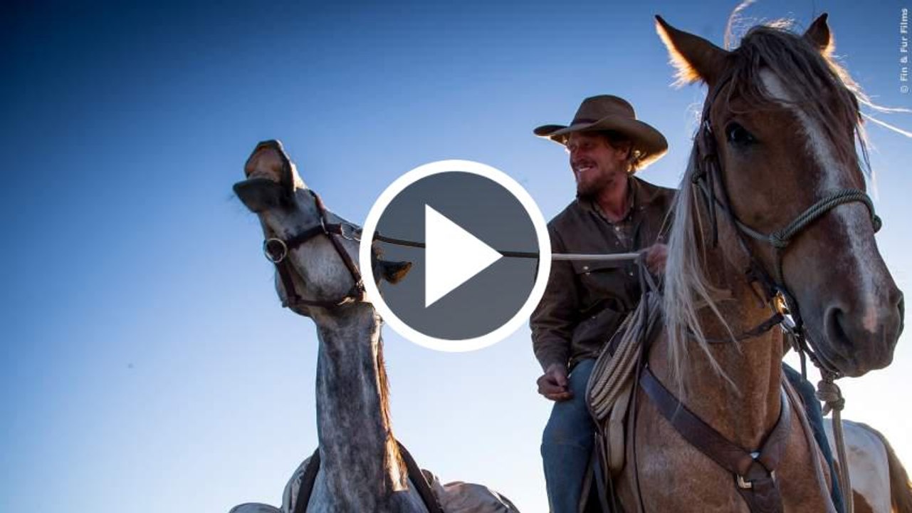 UNGEZÄHMT - VON MEXIKO BIS KANADA Trailer German Deutsch (2016)