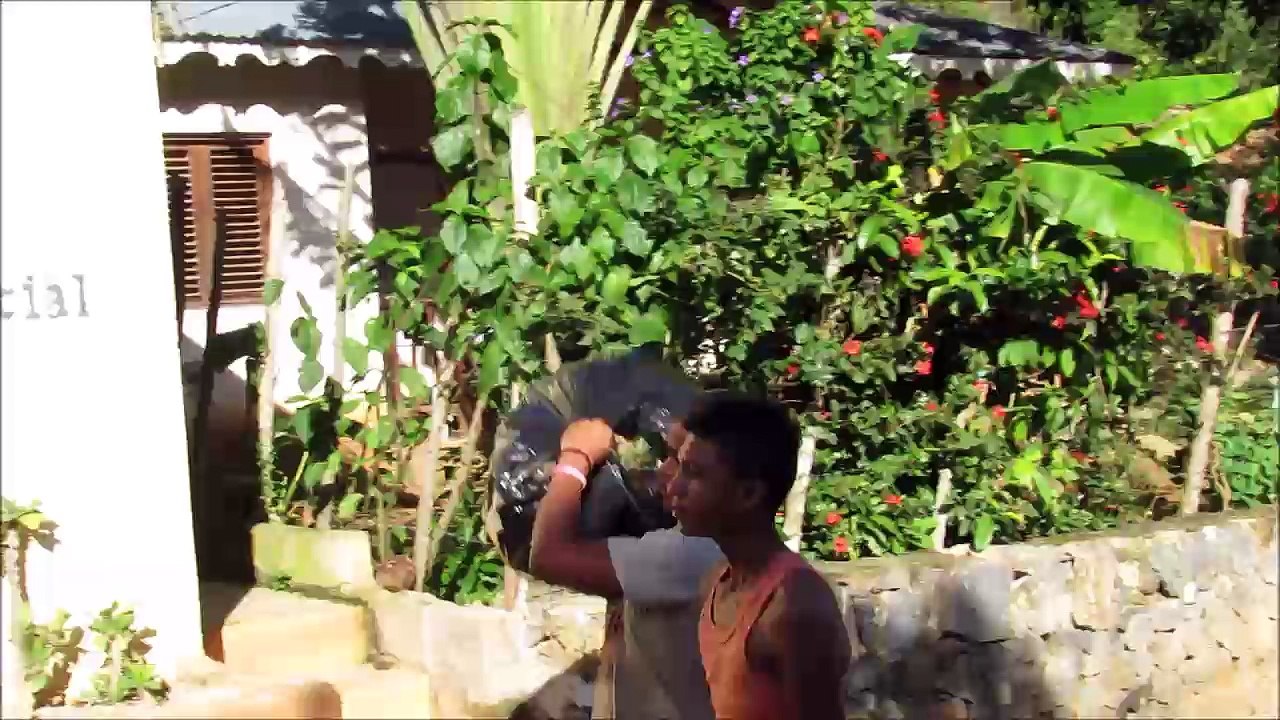 BasuraParaComida