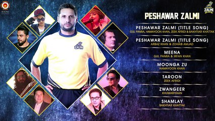 Taroon Hamayoon Khan HK Production Pashto Peshawar Zalmi New Song 2016 HD 720p