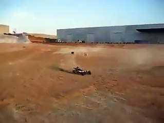 Dog's Race Between Speedy Car VS Dogs