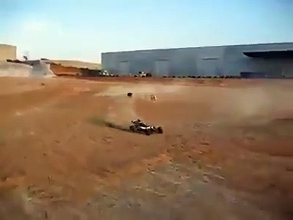 Dog's Race Between Speedy Car VS Dogs