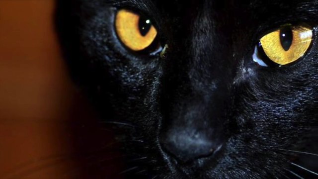 Короткие страшилки (Видео смотреть ночью)