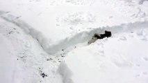 Kar Labirentinde Çılgınca Eğlenen Sevimli Köpek