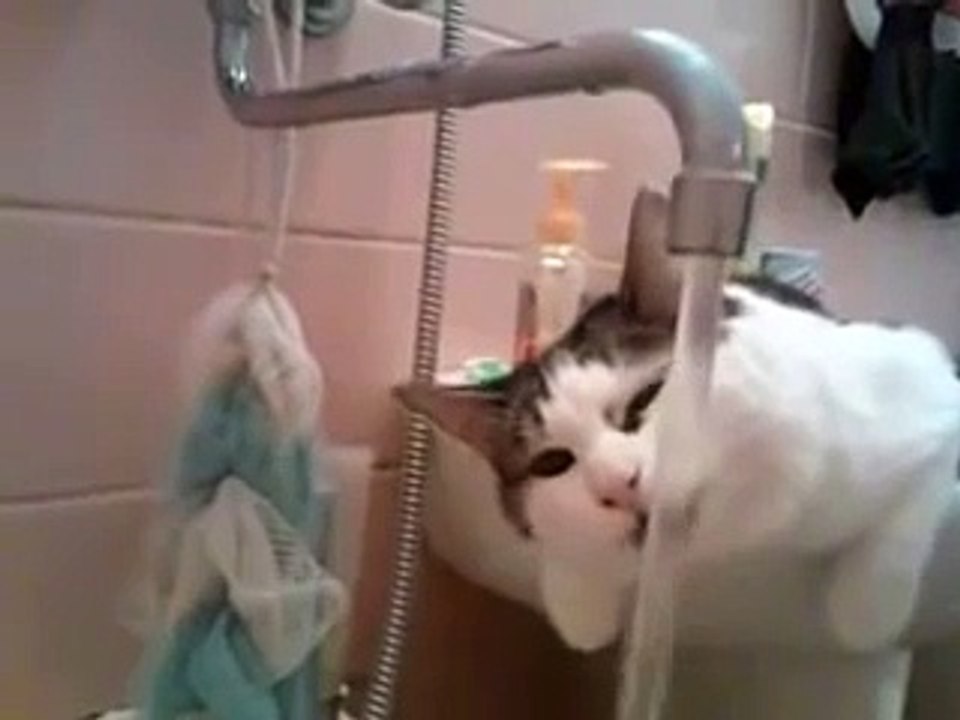 Ржачные приколы Я вам отодвину! Различные короткие видео ролики, приколы и др @ (1)