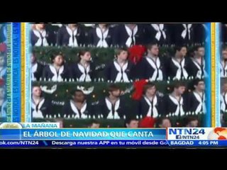 Árbol de Navidad de más de 20 metros de altura 'canta' para alegrar las fiestas decembrinas