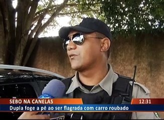 SEBO NAS CANELAS