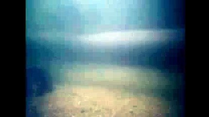 로얄카지노사이트■~ KOP77,COM ~＆바카라그림§아이비씨벳 주소