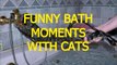 Cats just dont want to bathe - Funny cat bathing compilation