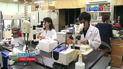 Зубы из стволовых клеток - Japanese Scientists Grow Teeth