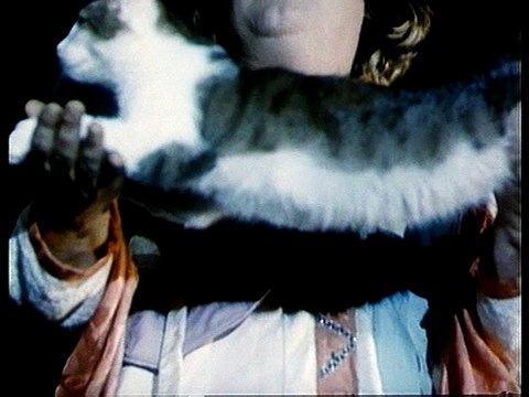 В мире животных (1 канал Останкино, 1992) Фрагмент