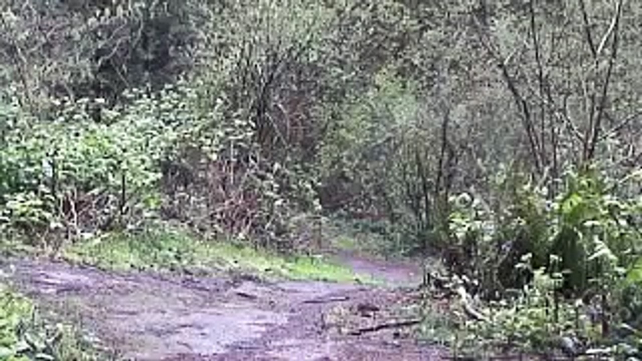 TACFIT ROPE Trailer