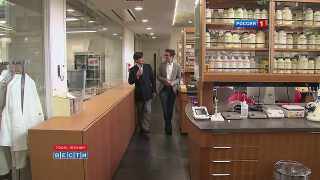 Японские ученые нашли лекарство от облысения