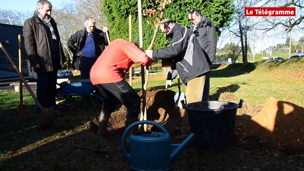 Pontivy : un chêne pour fêter les 50 ans du lycée le Gros-Chêne