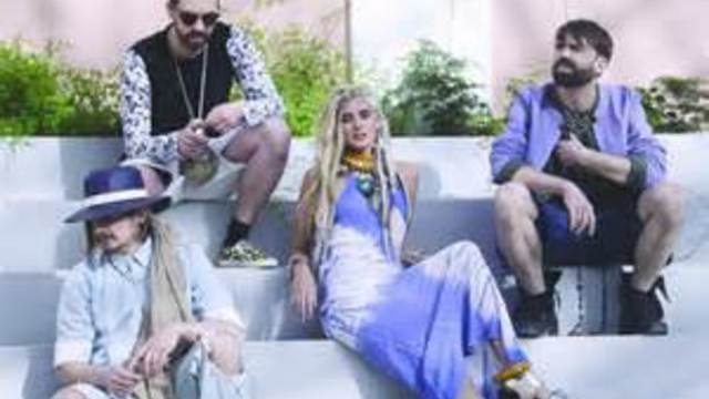 Terres du Son 2015 : MCE a rencontré Skip&Die