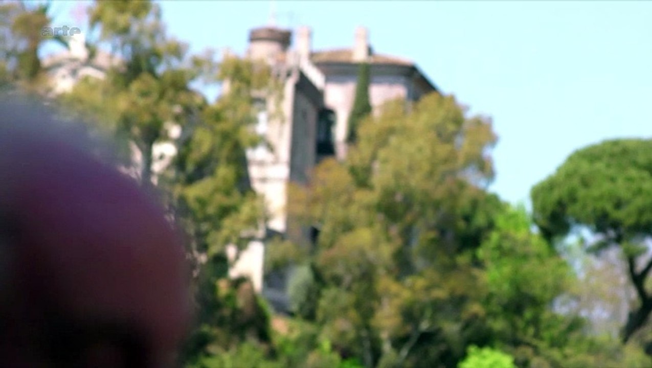 Schüsse auf dem Petersplatz, Wer wollte den Papst ermorden?