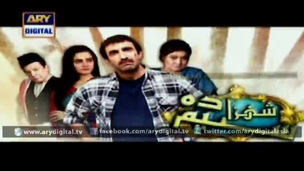 Watch Shehzada Saleem Episode – 07 – 3rd February 2016 on ARY Digital