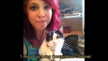 Funny Cats Compilation (Most Popular)1 Hour Long Cats Compilation