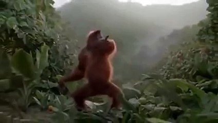 Le singe qui danse