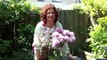 Step by step romantic floral arrangement from Holland
