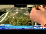 Gobierno de Colombia contempla legalizar el consumo y producción de marihuana con fines medicinales