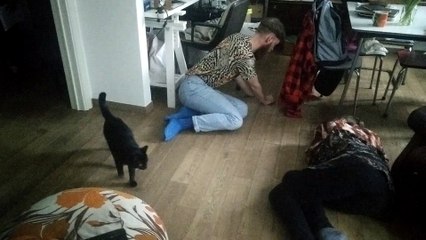 Divertir son chat avec Alex et Kroot