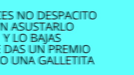 COMO EDUCAR A UN CACHORRO !!