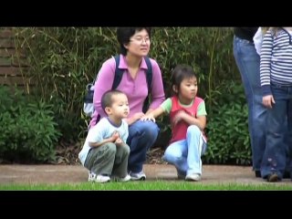 It's Not Easy Being a Zookeeper