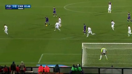Goal Borja Valero ~Fiorentina 1-0 Carpi~
