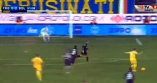 Frosinone 1 - 0 Bologna All Goals HD 03.02.2016