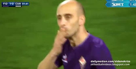 Borja Valero GOAL - Fiorentina 1-0  Carpi 03.02.2016