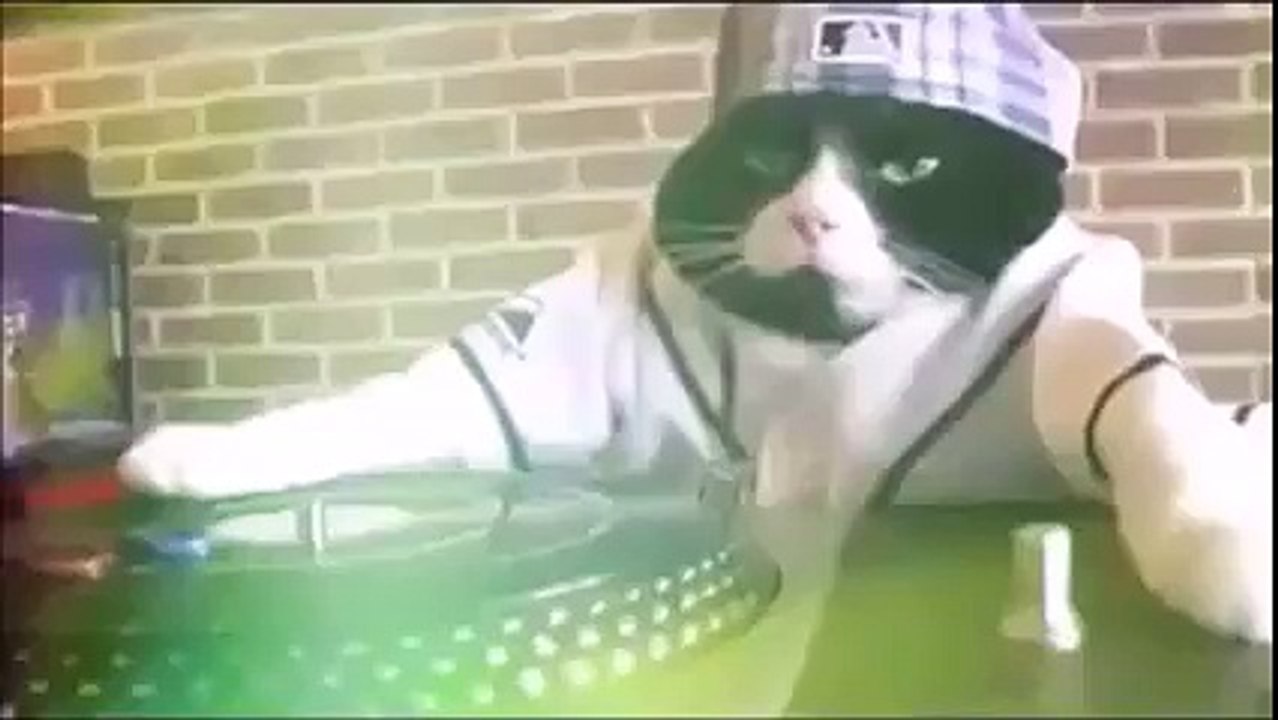Kitty is DJing 2016 WOWWOW!!!