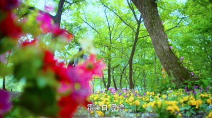 寂寞空庭春欲晚 第6集 超清完整版 Ep 6