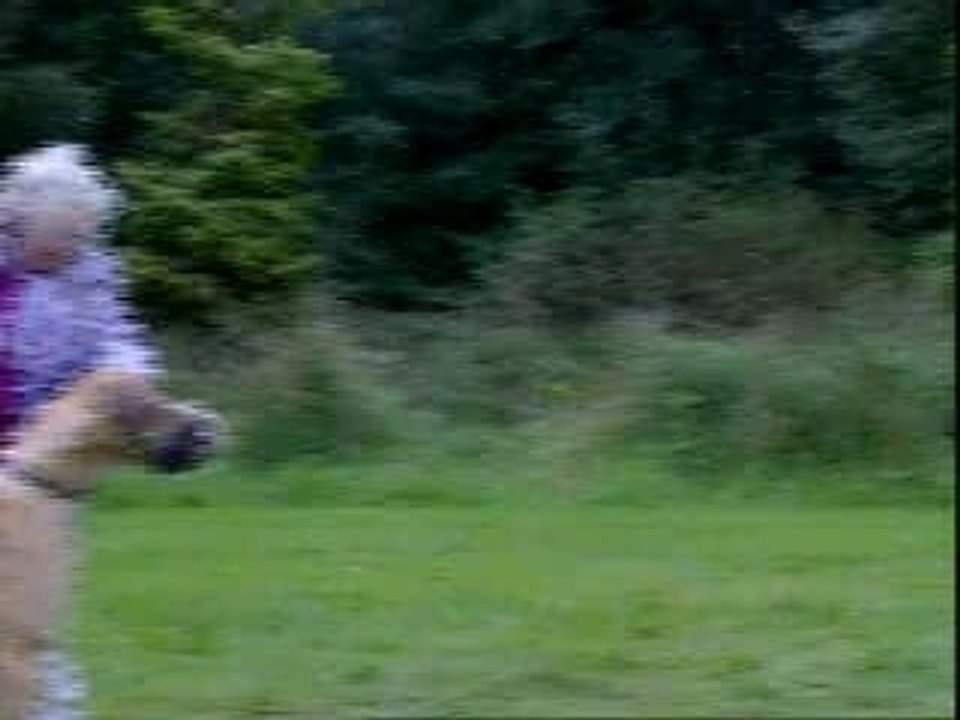 Fido......Vaaaaa....................aaaaaaiiiiiiiiiiii