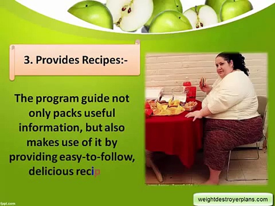 Weight Destroyer Program By Michael Wren Review