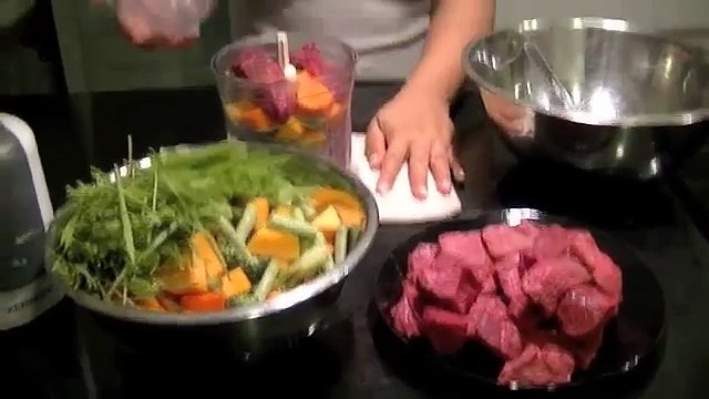 How to Make Dog Food for Dachshunds |Dog How2 Vids|