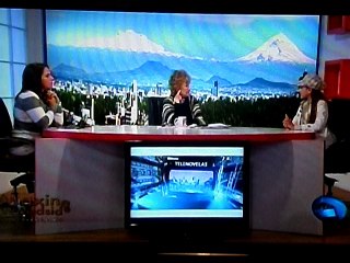 ANITA LA HUERFANITA, ELAINE HARO, ENTREVISTA, MAXINE WOODSIDE, FEB 3 2016