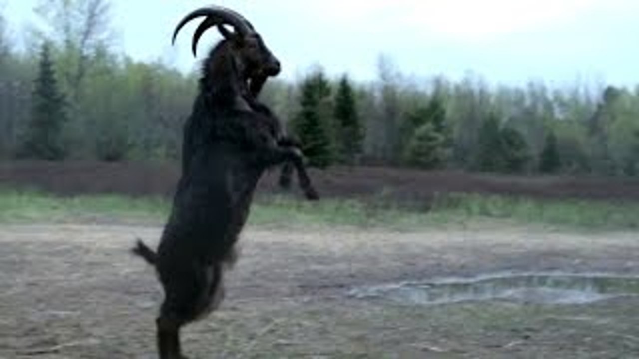 THE WITCH Official Trailer - Peek A Boo (2016) Horror Movie HD[Fizig3.com]
