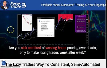 Forex Triple B By Vladimir Ribakov Review - Scam or Legit?