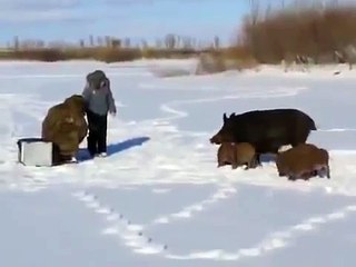 Неожиданная встреча на рыбалке