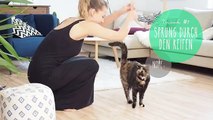 13 Katzen Tricks: Bärbels Clickertraining Kunststücke!