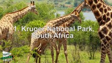 10 Best National Parks in Africa